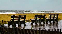 92: AlanToplitz_2025-105