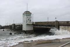 42: AlanToplitz_2025-107