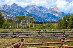 44: AlanToplitz_2025-121