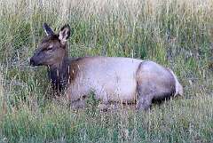 220: AlanToplitz_2025-124