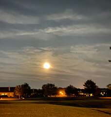 190: BerniceBailine_2025-40