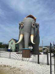 209: BerniceBailine_2025-41