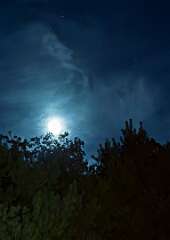 112: BillKirms_2025-261