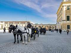 99: BillKirms_2025-274