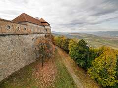 83: BillKirms_2025-280