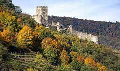 24: BillKirms_2025-283