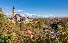 87: BillKirms_2025-308