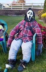 177: BillKirms_2025-315