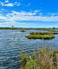 162: CarolAnnManfria_2025-33