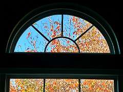 206: CarolAnnManfria_2025-39