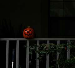 43: DonManfria_2025-261