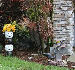 51: DonManfria_2025-264