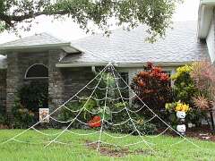 101: DonManfria_2025-265