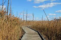 14: DonManfria_2025-281