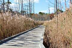 104: DonManfria_2025-283