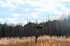 218: DonManfria_2025-286