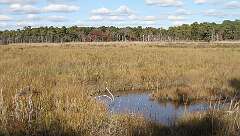 173: DonManfria_2025-287