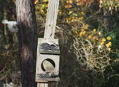 128: DonManfria_2025-288