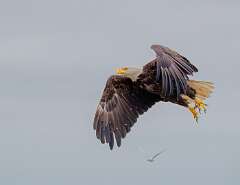 136: MarkShelly_2025-243