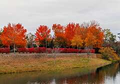 29: MarkShelly_2025-251