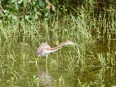 56: MikeGlass_2025-39