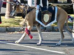 180: MikeGlass_2025-55