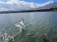 168: Xue-MingBao_2025-25