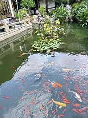 175: Xue-MingBao_2025-28