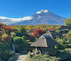 45: wendyTao_2025-43