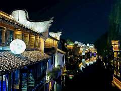 39: wendyTao_2025-47