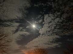 100: BerniceBailine_2025-48