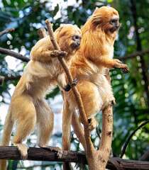 26: BillKirms_2025-327