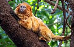 98: BillKirms_2025-328