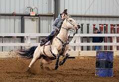 66: BillKirms_2025-335