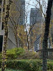 43: CarolAnnManfria_2025-49