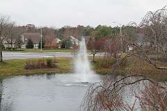 99: DonManfria_2025-298