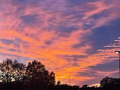 141: MarkShelly_2025-256