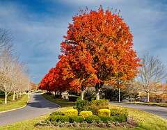 21: MarkShelly_2025-257