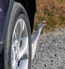 121: MarkShelly_2025-263