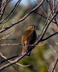 83: MarkShelly_2025-267