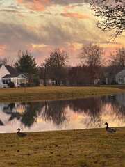 96: MonicaIppolito_2025-3