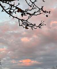 3: MonicaIppolito_2025-6