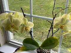 128: TomGeorgio_2025-7