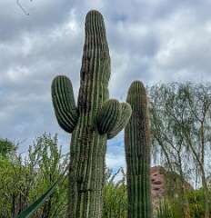 51: Xue-MingBao_2025-42