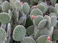 77: Xue-MingBao_2025-44