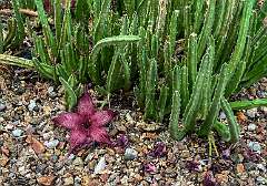 23: Xue-MingBao_2025-45