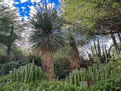 37: Xue-MingBao_2025-46