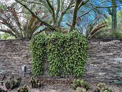 7: Xue-MingBao_2025-47