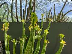 151: Xue-MingBao_2025-48