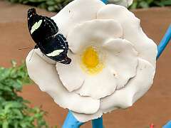 127: Xue-MingBao_2025-61